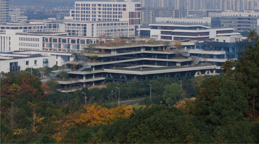 公司图片1